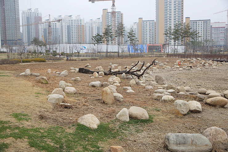 파란 풀, 호수공원 바닥 