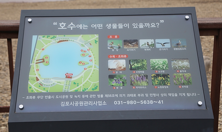 식물 설명