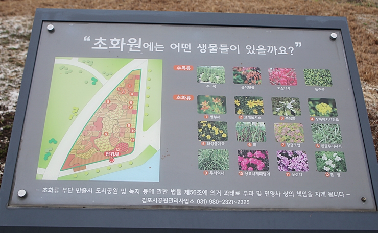 식물 설명